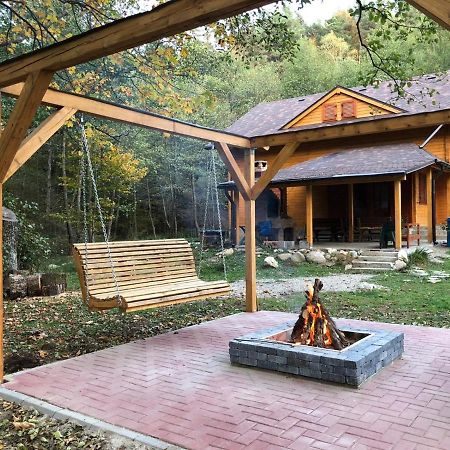 Chalet By The River Văliug Εξωτερικό φωτογραφία