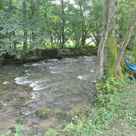 Chalet By The River Văliug Εξωτερικό φωτογραφία