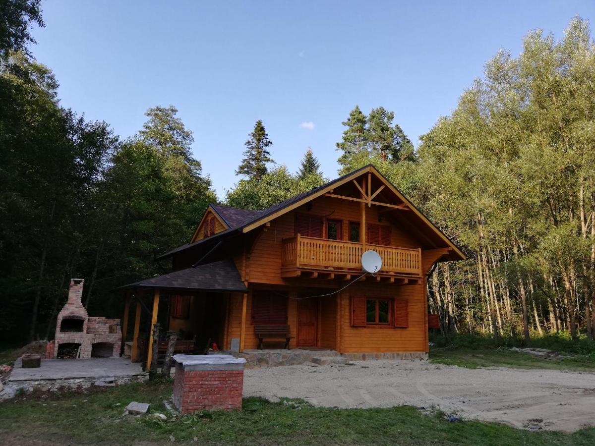 Chalet By The River Văliug Εξωτερικό φωτογραφία