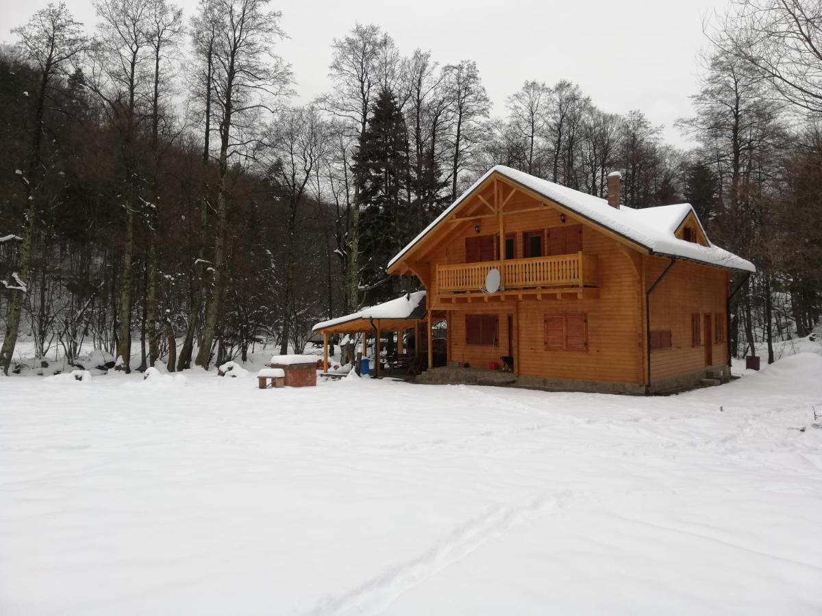 Chalet By The River Văliug Εξωτερικό φωτογραφία