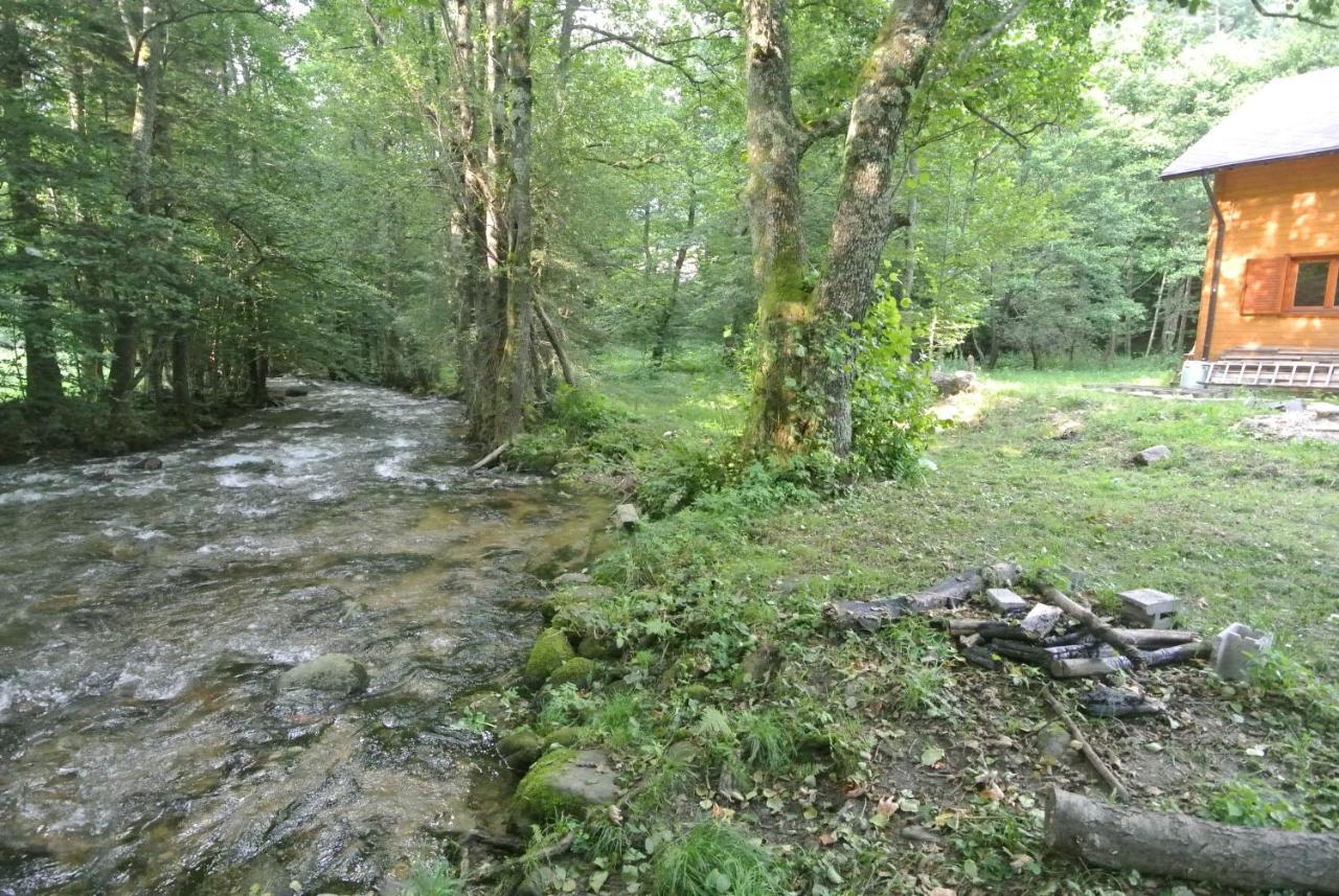 Chalet By The River Văliug Εξωτερικό φωτογραφία