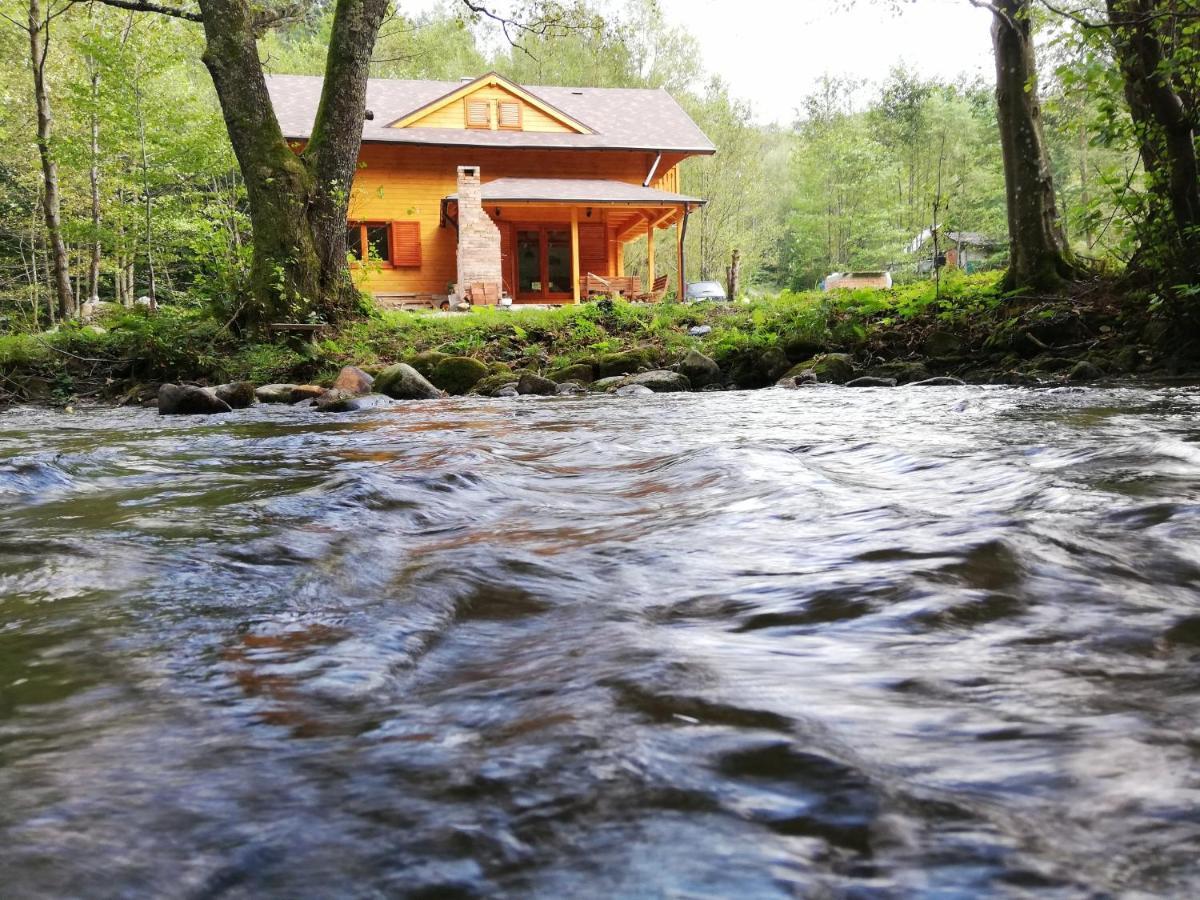 Chalet By The River Văliug Εξωτερικό φωτογραφία