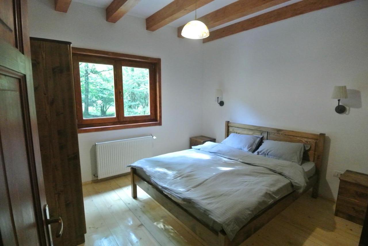 Chalet By The River Văliug Εξωτερικό φωτογραφία